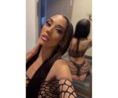 🌹𝒢𝑒𝓃𝓉𝓁𝑒𝓂𝒶𝓃’𝓈 #1 ꜰᴀᴠᴏʀɪᴛᴇ 𝓔𝔁𝓸𝓽𝓲𝓬𝐵𝑜𝓂𝒷𝓈𝒽𝑒𝓁𝓁 🌹 - Image 7