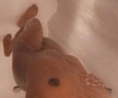 ✨💋👅Theres A Party In My Pants And You're Invited! Cum Enjoy Sum Wett, Tight, Pussy Baby And Party With Me💦💋🍫 - Image 6