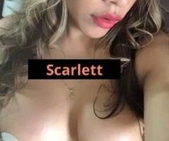 sexy tramsexual visiting available only today no txts call me whem you ready - Image 2