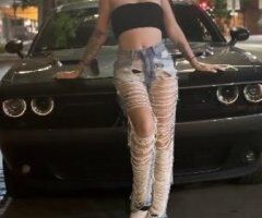 Priscilla - Image 3