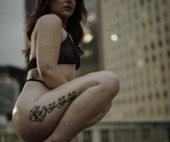 Texas Ginger - Image 4