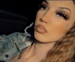 Snow Bunny - Image 5