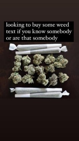 4/20! does any body have plug - 1