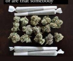 East Idaho escorts - 4/20! does any body have plug