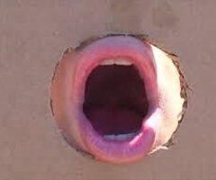 GLORYHOLE ACTION - Image 2