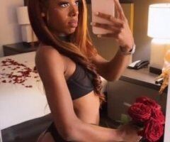 Your Favorite Upscale Gorgeous Companion 😍😏 - Image 7
