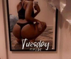 Miami escorts - Tiana💕 Cum see me while im here💦I promise you won't be dissapointed