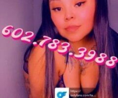 Verification Video - Image 5