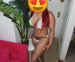 New Haven escorts - disponinible 24/07 100/real