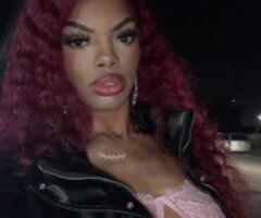 SEXY FUN PETiTE EXOTIC - Image 12