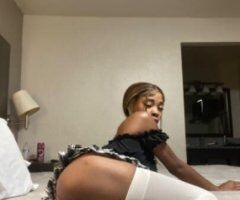 Petite Goddess 🎀K.O.I.I🎀INCALL - Image 3