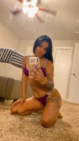latina disponible - 1