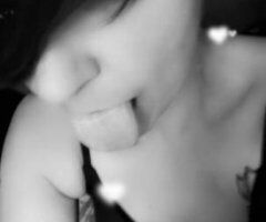 tweet tweet sweet meet - Image 2