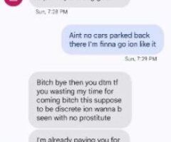 INCALLS & OUTCALLS REQUIRES A DEPOSIT YOU CAN THANK THE BULLSHITTERS FOR THAT - Image 4
