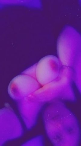 COME AND SEE YOUR SQUIRT QUEEN AND HAVE YOUR WAY WITH THIS PUSSY 💋🔥 - 1