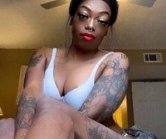 Coming Back Tomorow Number lets Play Tatted Vixen QV SP HHR SP - Image 4