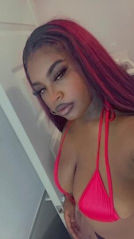 SEXY THICK CHOCOLATE COCO BUNNY 🍫 NEW IN TOWN ❤ 100% Real - 1