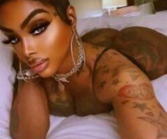 super sexi stallion !!!! pretty pusey bad bitch outcalls - Image 8