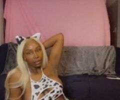 Springfield escorts - INCALL : Panamian playmate