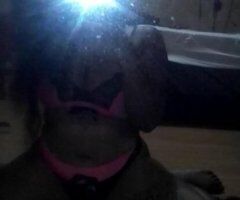 Memphis escorts - Outcalls Chocolate baby im 100% real