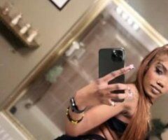 Denver escorts - JAMAICAN EBONY AVAILABLE NOW