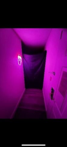 the gloryhole experience is back - 1