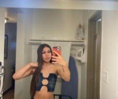 Petite Mixed doll , car dates & outcalls in San Rafael - Image 3