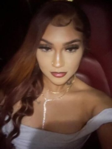 Your Exotic Treat 😻 No LowBallers Fetish Friendly Only Service Gentlemen 🤑 - 1