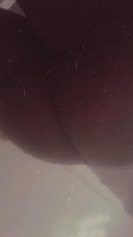 Qv Specials Papi🙂‍↔ Come See Me Papi🤤 Incalls Only - 1
