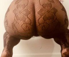 Platinum Pussy - Image 3