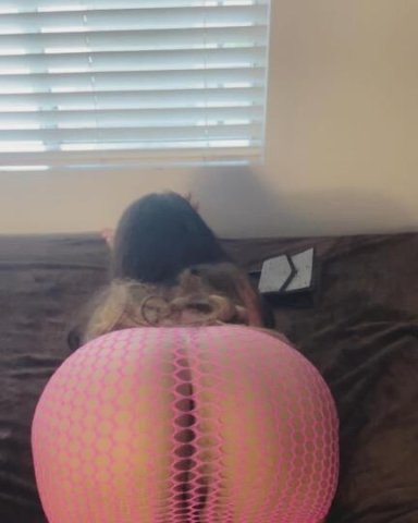I’m available incall outcall and carplay 💦💦 ❤Videos sex❤💋 Available 24/7👉OverNight💦 🍆 - 25 - 1