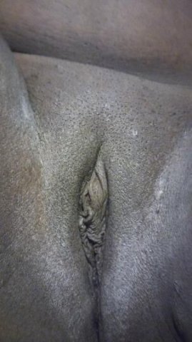 ms. WET WET - 1