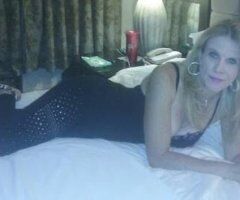 Cougar on the Prowl.. - Image 2