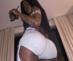 tracy available now - Image 5