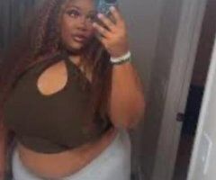 Sarasota/Bradenton escorts - Brown BBW Available