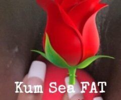San Antonio escorts - W E E K E N D FLASH SALE!! 👀*ONLY* LIVE SHOWS , HALF OFF CONTENT , OR CAR DATES !!!!