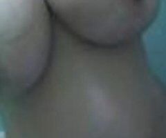 BBW Bailey in Clearwater - Available Now - Image 2