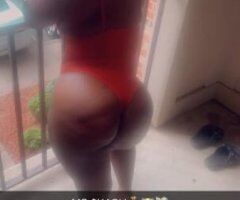 🍬🍭🌷 FAVORITE CHOCOLATE MIDGET 🌷🍭🍬 - Image 6