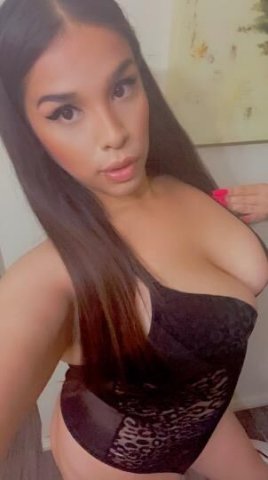 ⭐ ♛𝕐𝕆𝕌ℝ 𝔸𝕋𝔽 5 𝕊𝕋𝔸ℝ 𝕃𝔸𝕋𝕀ℕ𝔸 ⭐#❶♛🥇𝖠𝗏𝖺𝗂𝗅𝖺𝖻𝗅𝖾 24/7📲‼✿ •. 🥂𝓤𝓹𝓼𝓬𝓪𝓵𝓮 𝓔𝔁𝓹𝓮𝓻𝓲𝓮𝓷𝓬𝓮 💎.• ✿ •. - 1