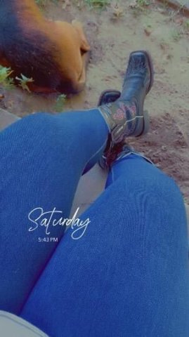 fs, bbbjs, gfe, incall, outs, and car dates READ MY FULL AD - 1