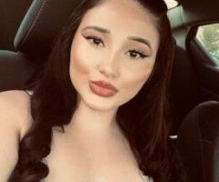 scandvian - Image 3