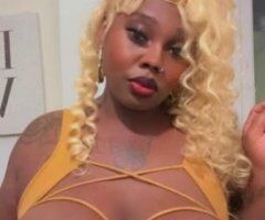 Winston-Salem escorts - TS - 26