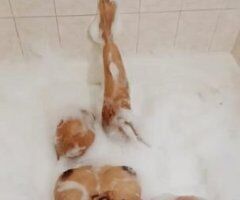 latina hermosa💖bbj,anal,fetiche 🔥 servicio completo 💦 gran trasero 🍑💋❤️🍒 fotos reales 💦OUTCALLS Y INCALLS - Image 5