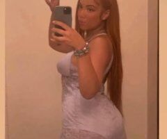 Northwest Connecticut escorts - DREAM the All Natural Bombshell 💥