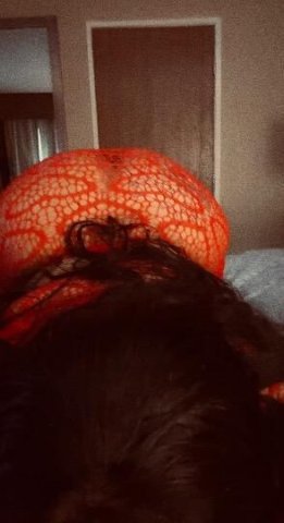 Nothing Cheap So Please Dont ASK 🙄 Incalls - 22 - 1