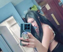 Kalamazoo escorts - cute babygirl cat - 28