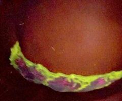 incalls only - 24 - Image 3