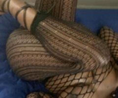 Albany escorts - Vee Here