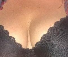 Ask me about the SPECIAL! do you like cats, come see this cougar - 49 - Image 2