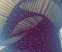 Buffalo female escort - 💙💧soaking wet 💧💦💦💦💦 - 30